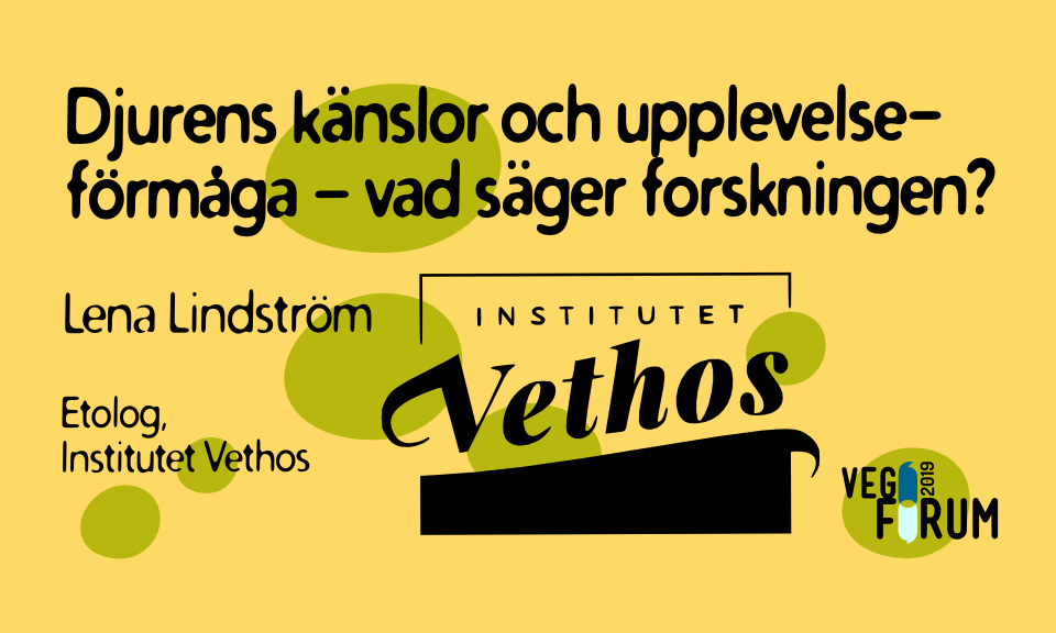Vethos